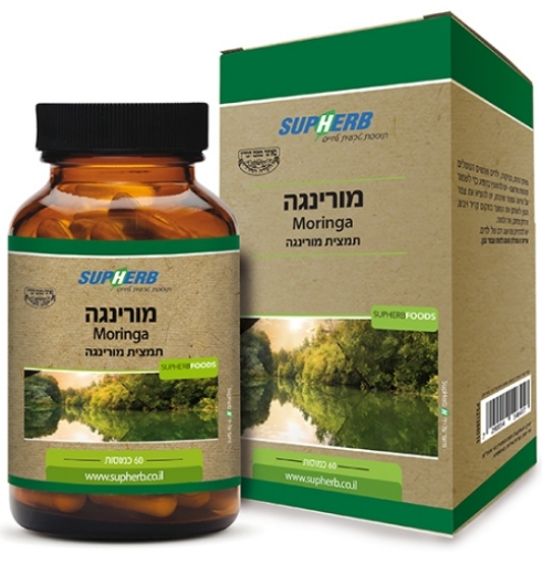 מורינגה