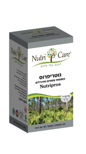 נוטריפרוס