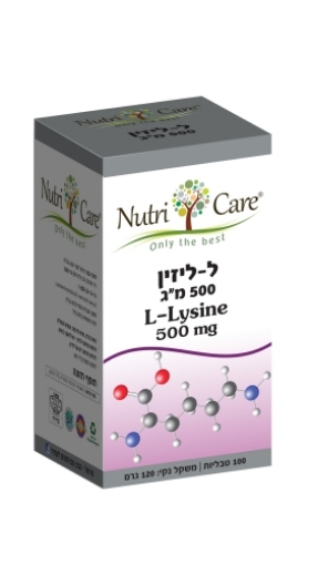 ל- ליזין