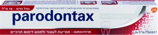 תמונה של פרודונטקס מלבינה